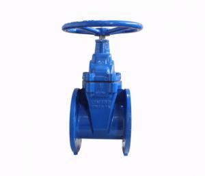 DN 65 F4 TİP ELASTOMER SÜRGÜLÜ VANA PN10-16